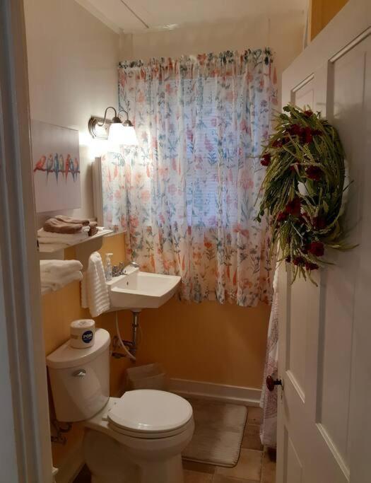 #05 - Lakefront Two Bedroom Cottage- Pet Friendly Hot Springs Ngoại thất bức ảnh